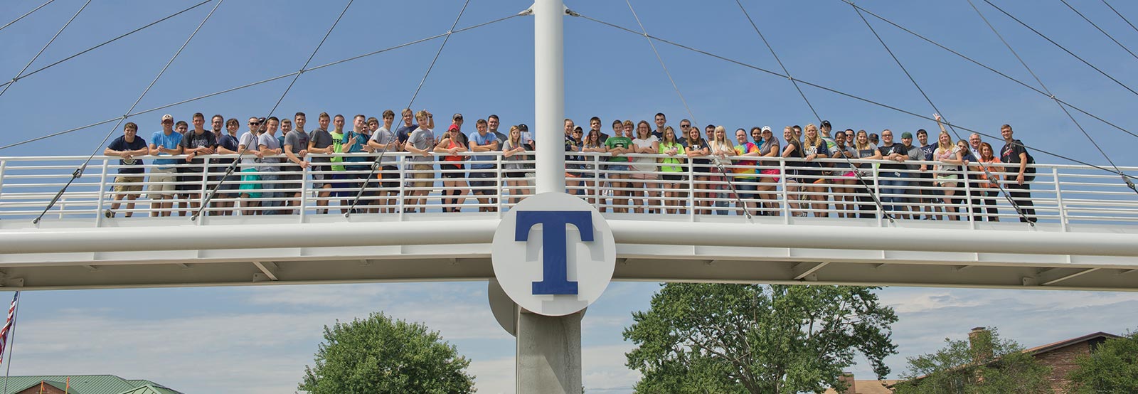 Trine University